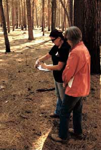 site steward at Sequoia NF