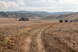 Judyth Reed at the first CASSP workshop