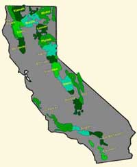 National Forests in California